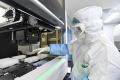 图为中国武汉的一处实验室2月6日检测病患采样中是否含有新冠病毒（中共病毒）。(STR/AFP via Getty Images)