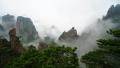 得到风水界公认的是，中华大地上所有的龙脉都发源于昆崙山。图为黄山（pixabay.com）