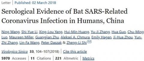 图：2018年3月石正丽团队论文，证实蝙蝠SARS类冠状病毒可以直接感染人。