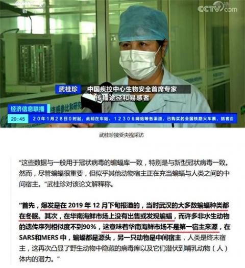 图：中国疾控中心专家武桂珍接受央视采访指出：直接传染人的不是蝙蝠，源头也不在海鲜市场。（网路截图）