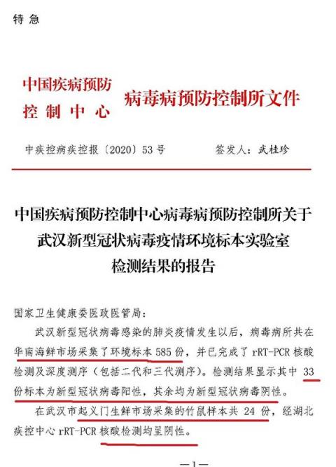 大纪元获得的国家疾控中心1月22日提交中共卫健委的武汉市华南海鲜市场检测报告。（大纪元）