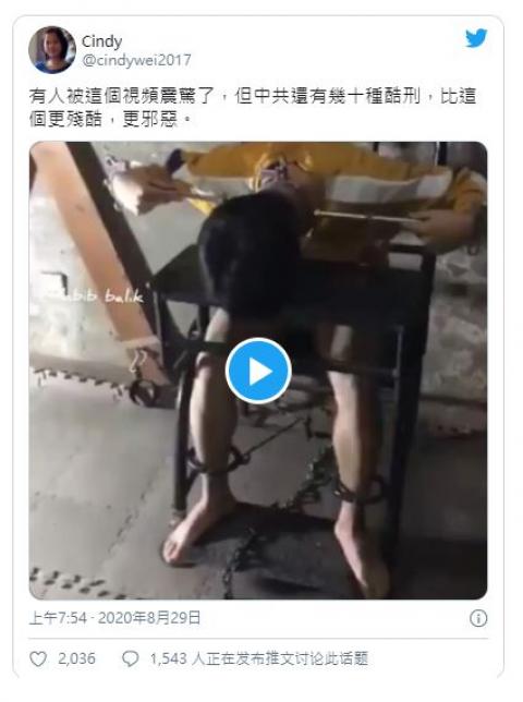 日前网上流出两段视频，曝光了中共警察使用的两种恐怖刑具。（视频截图）