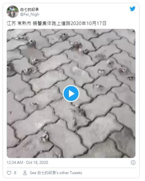 10月17日，江苏常熟市接近长江入海口处出现惊人异象：数万只螃蟹沿着岸边爬到岸上。（图片来源：视频截图）