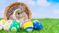 复活节中最具代表性的吉祥物是彩蛋和兔子，古人常把蛋视为多子多孙和复活的象征。 