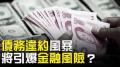 【热点互动】20年最大美元债务违约 中国金融风险有多高？