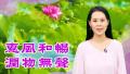 《希望的路》第二集:惠风和畅 润物无声