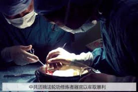 号角已吹响 红色中共的覆灭