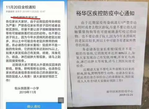 黑死病致内蒙沦陷 4直升机投药灭鼠