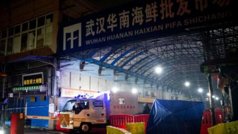 图为武汉市卫生应急小组的工作人员11日开车离开华南海鲜批发市场。(Getty Images)