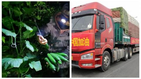 山東壽光捐贈350噸蔬菜給武漢，被官方搶去，官媒與紅會為此打起來了。（合成圖片）