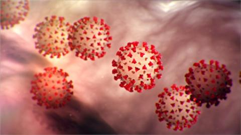 图为美国疾病与预防中心刊出的新型冠状病毒的示意图。（CDC网站）