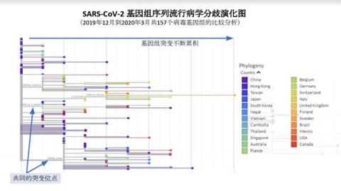 专家分析中共关于新冠病毒的两大谎言