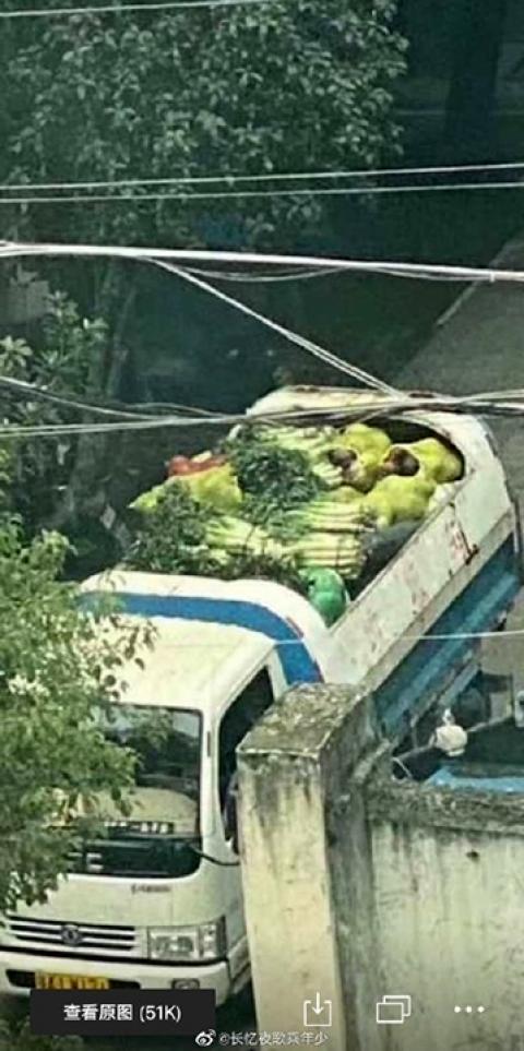当地网民发现，当局同样用垃圾车运输蔬菜等食品。（网络图片）