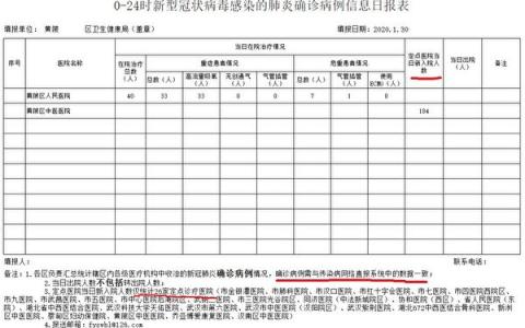 【独家】武汉黄陂区内部文件泄抗疫秘密