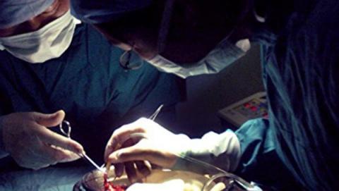 中国浙江一家医院2020年3月2日完成了对一名新冠肺炎患者的双肺移植手术，供体提前两天就已预约，引发外界对中共仍在活摘器官的质疑。示意图与新闻无关。（网络图片）