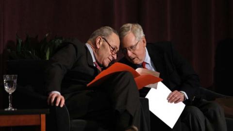 美国参议院多数党领袖米奇•麦康奈尔（Mitch McConnell，右）和少数党领袖查克•舒默（Chuck Schumer，左）。（Bill Pugliano/Getty Images）