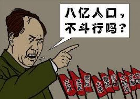 （网络截图）