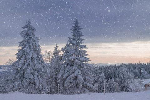 雪崩与陷阱：没有一片雪花是冤枉的