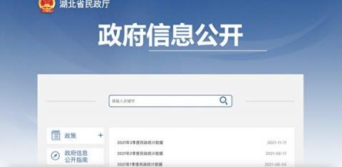 武汉隐瞒死亡统计报表近两年：不方便公开