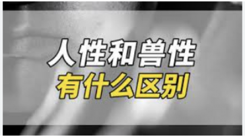 （网络截图）